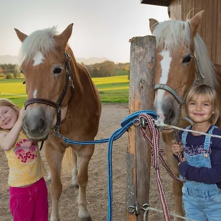 Farm stay Marksteinhof Seeon-Seebruck