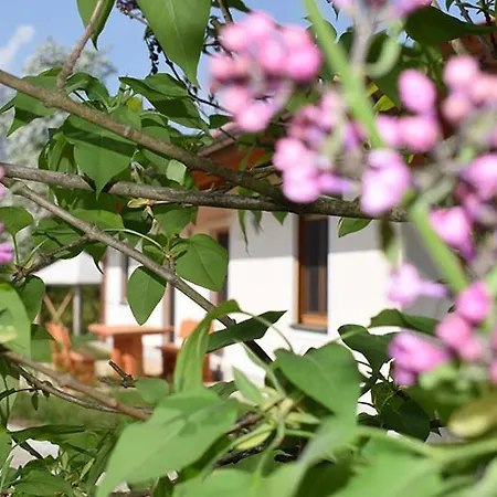 Marksteinhof Farm stay Seeon-Seebruck